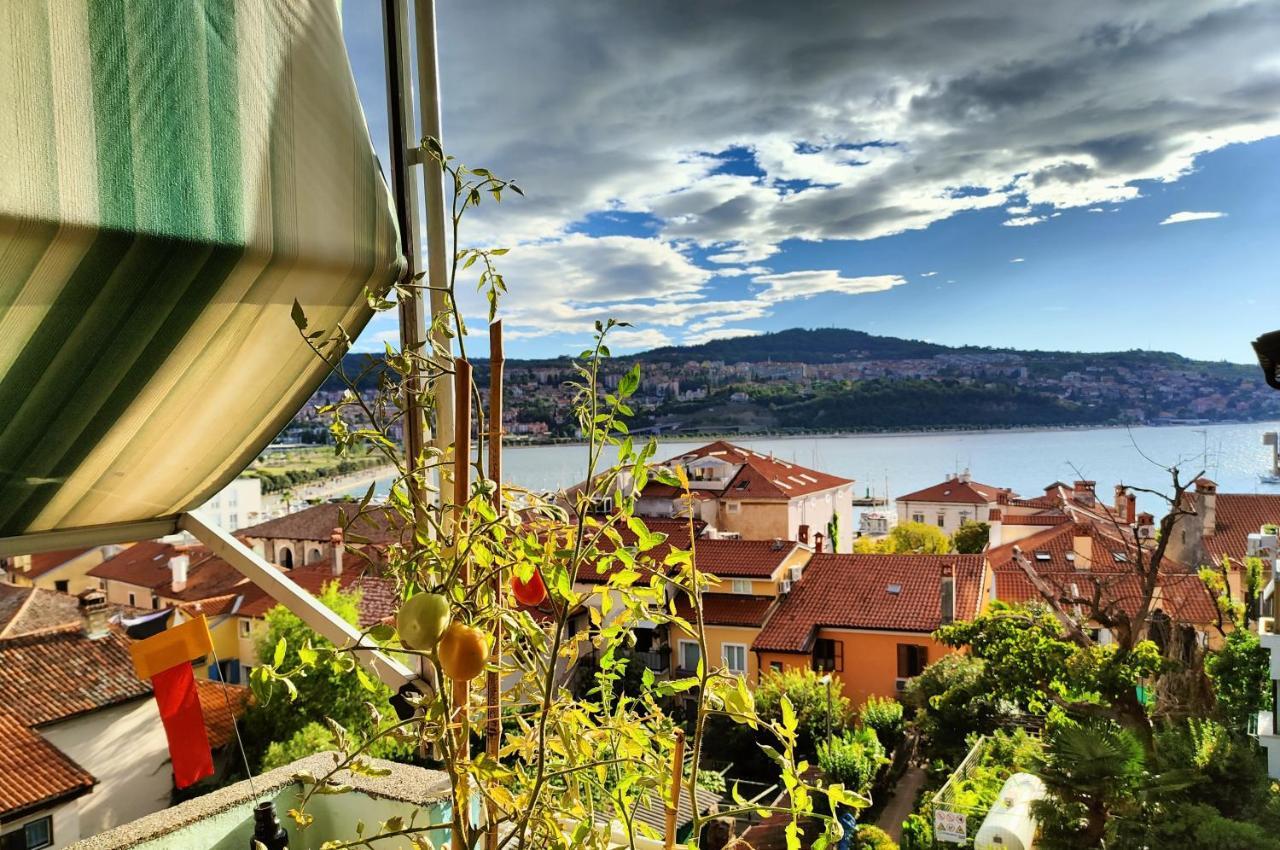 Maestral Koper Exterior foto